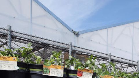 Lowe’s apuesta por una fuerte campaña en la temporada primaveral.