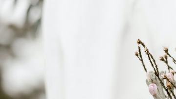 Multa fiscal por matrimonio