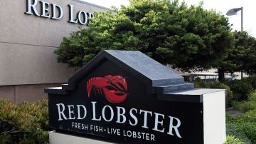 Red Lobster ofrecerá comidas familiares en Pascua por menos de $28 dólares.