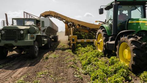La agricultura es una de las industrias de más alto nivel de riesgo porque los trabajadores desempeñan su labor diaria con maquinaria pesada.
