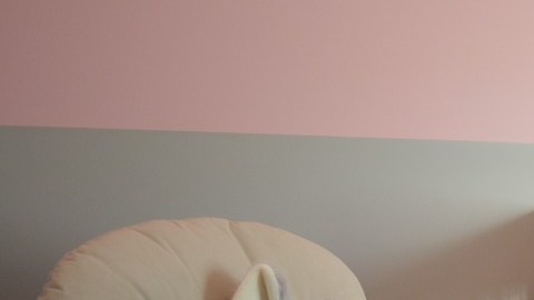 Carriolas o muñecos de peluche no son recomendables para comprarse usados.