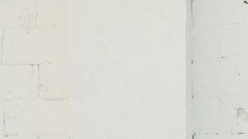 Familia estadounidense