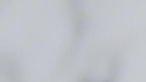 El dólar se sigue fortaleciendo.