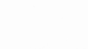 Para quienes tienen un negocio o servicio, ofrecer tus productos en Instagram es una forma palpable de ganar dinero. Lo único que debes hacer es tomar alguna fotos de calidad y subirlas diariamente.