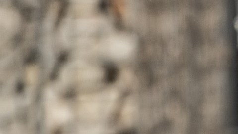 Algunos de los requisitos que Adidas te solicitará son vivir en Estados Unidos, tener acceso a Internet y un correo electrónico válido; leer y escribir en el idioma inglés; así como tener al menos 18 años.