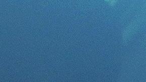 Si quieres ser conductor en Nueva York, es obligatorio tener una licencia TLC (Taxi and Limousine Commission), además de que deberás visitar las oficinas de Uber.