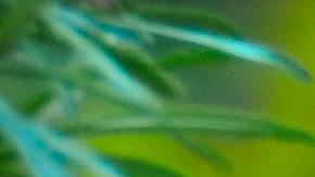 El zoológico de Cincinnati tiene algunas vacantes, las cuales pueden ser en áreas como horticultura, guías de aventuras, operadores de trenes y carrusel, cuidadores de animales, coordinadores de eventos, entre otros.