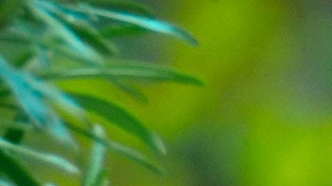 El zoológico de Cincinnati tiene algunas vacantes, las cuales pueden ser en áreas como horticultura, guías de aventuras, operadores de trenes y carrusel, cuidadores de animales, coordinadores de eventos, entre otros.