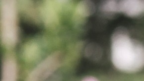 Parents carrying children piggyback outdoor