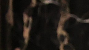 WASHINGTON, DC - APRIL 28: U.S. President Joe Biden addresses a joint session of congress as Vice President Kamala Harris (L) and Speaker of the House U.S. Rep. Nancy Pelosi (D-CA) (R) look on in the House chamber of the U.S. Capitol April 28, 2021 in Washington, DC. On the eve of his 100th day in office, Biden spoke about his plan to revive America’s economy and health as it continues to recover from a devastating pandemic. He delivered his speech before 200 invited lawmakers and other government officials instead of the normal 1600 guests because of the ongoing COVID-19 pandemic. (Photo by Chip Somodevilla/Getty Images)