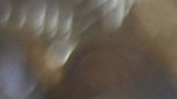 This photograph taken on December 17, 2020 shows shows a physical imitation of a Bitcoin at a crypto currency "Bitcoin Change" shop, near Grand Bazaar, in Istanbul. - Leading virtual currency bitcoin on 16 December traded above $20,000 for the first time following a sustained run higher in recent weeks. Bitcoin reached a record-high $20,398.50 before pulling back to $20,145, which was still an intra-day gain of nearly four percent. (Photo by Ozan KOSE / AFP) (Photo by OZAN KOSE/AFP via Getty Images)