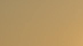 El Día de la Madre llega con una amplia gama de alternativas para regalar.