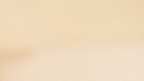 El apoyo también contempla hasta $100 dólares para comprar una PC, laptop o tableta.