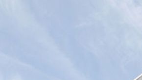 La entrega de árboles de Lowe’s se engloba en la iniciativa Jardines para Llevar.