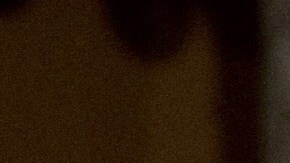 US Vice President Joe Biden (R) holds a ceremonial swearing-in of Senator Joe Manchin, a Democrat from West Virginia, in the Old Senate Chamber at the US Capitol in Washington on November 15, 2010. Holding the bible for the swearing-in is Manchin's mother Mary Manchin (2nd L) and his wife Gayle Manchin (2nd R).         AFP PHOTO / Saul LOEB (Photo credit should read SAUL LOEB/AFP via Getty Images)