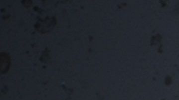 An Uber sticker is seen on a car at the start of a protest by ride share drivers on August 20, 2020 in Los Angeles, California. - Rideshare service rivals Uber and Lyft were given a temporary reprieve on August 20 from having to reclassify drivers as employees in their home state of California by August 21. (Photo by Robyn Beck / AFP) (Photo by ROBYN BECK/AFP via Getty Images)