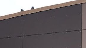 Walmart prestará su servicio habitual en Pascua.