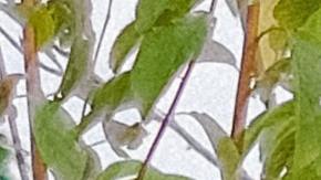 Existen empleos como agricultores, techadores, carteros, guardabosques y paisajistas, instructores de esquí, recolectores de basura, albañiles, entre otros, que requieren que las personas laboren en el exterior.