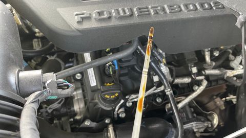 Cuidado del auto para la primavera y verano