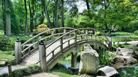 Buscan jardineros virtuales.