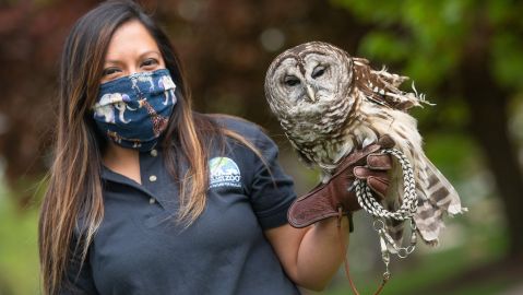 Por suerte, también puedes acudir al mismo parque a pedir trabajo, deberás ir el sábado 17 de abril desde las 10 de la mañana y hasta el medio día al zoológico Cleveland Metroparks.