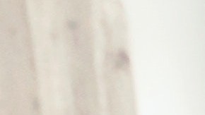 Un reporte realizado por Fast Company-Harris Poll, demostró que un 59% de los trabajadores de ingresos medios están contemplando cambiar de trabajo este año.