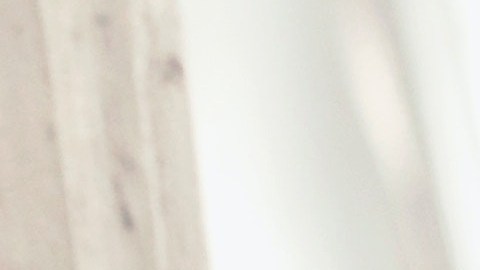 Un reporte realizado por Fast Company-Harris Poll, demostró que un 59% de los trabajadores de ingresos medios están contemplando cambiar de trabajo este año.