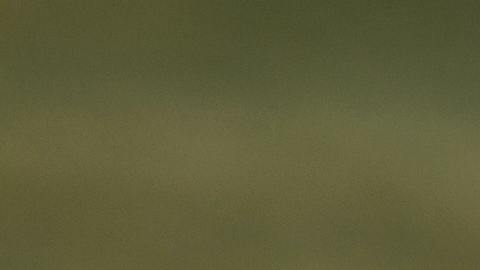 Una chica bev cart suele llevar cervezas, bocadillos y otras bebidas a los golfistas en los campos conduciendo sus carritos equipados con refrigeradores.