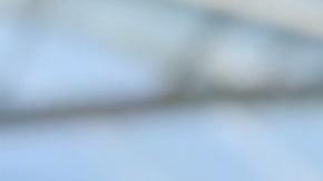 La autoridad reportó que los mexicanos llegaron a la isla por medio de la visa H2-A, la cual permite a trabajadores agrícolas laborar temporalmente en Estados Unidos o en sus territorios.