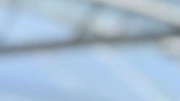 La autoridad reportó que los mexicanos llegaron a la isla por medio de la visa H2-A, la cual permite a trabajadores agrícolas laborar temporalmente en Estados Unidos o en sus territorios.