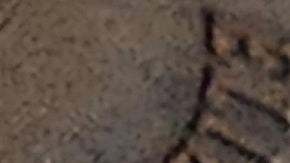 Dónde vender tus monedas de colección.