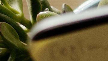 pexels-julia-m-cameron-4144923