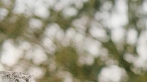 FEMA te da apoyo para el funeral