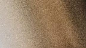 Criptomonedas: ¿en cuáles invertir?