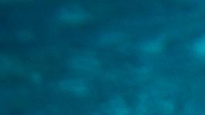 Actualmente, hay más de 3,000 piscinas enumeradas en el sitio, muchas de las cuales cuestan menos de $50 por hora para alquilar, o incluso hay descuentos disponibles para múltiples reservas.