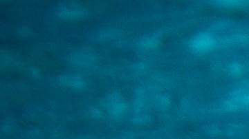 Actualmente, hay más de 3,000 piscinas enumeradas en el sitio, muchas de las cuales cuestan menos de $50 por hora para alquilar, o incluso hay descuentos disponibles para múltiples reservas.