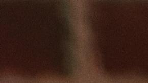 Si te gusta pasar horas siendo tiktoker, subir videos, hacer cosas graciosas o incluso ya tienes un importante público cautivo, calma y analiza tus movimientos ya que tal vez aun no sea suficiente para que dejes tu empleo.