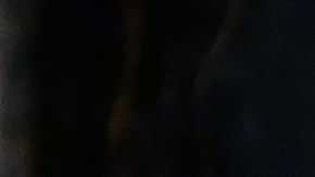 WASHINGTON, DC - APRIL 28: U.S. President Joe Biden addresses a joint session of congress in the House chamber of the U.S. Capitol on April 28, 2021 in Washington, DC. On the eve of his 100th day in office, Biden was to speak about his plan to revive America's economy and health as it continues to recover from a devastating pandemic. He was scheduled to deliver his speech before 200 invited lawmakers and other government officials instead of the normal 1600 guests because of the ongoing COVID-19 pandemic. (Photo by Jim Watson - POOL/Getty Images)