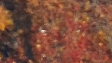 CAMP SPRINGS, MD - NOVEMBER 21:  Vehicles travel on Washington's Capitol beltway, November 21, 2007 in Camp Springs, Maryland. Today is one of the busiest travel days of the year, over 38 million people are expected to travel at least 50 miles from home for the Thanksgiving holiday, according to the AAA.  (Photo by Mark Wilson/Getty Images)