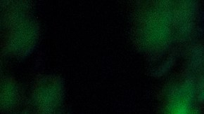 LONDON, ENGLAND - APRIL 25: In this photo illustration of the litecoin, ripple and ethereum cryptocurrency 'altcoins' sit arranged for a photograph on April 25, 2018 in London, England. Cryptocurrency markets began to recover this month following a massive crash during the first quarter of 2018, seeing more than $550 billion wiped from the total market capitalisation. (Photo by Jack Taylor/Getty Images)