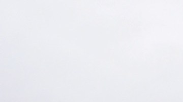 NORTH ARLINGTON, NJ - SEPTEMBER 12:  Atmosphere at the official opening of the North Arlington Dollar General Store on September 12, 2009 in North Arlington, New Jersey.  (Photo by Brian Killian/Getty Images for Procter & Gamble)