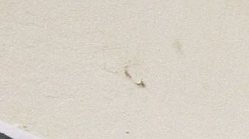 OAKLAND, CA - APRIL 17:  Job Seeker Kenneth Massingale looks at job listings posted at the East Bay Works One-Stop Career Center April 17, 2009 in Oakland, California.  The California state unemployment rate surged to 11.2 percent in March, the highest level since 1941 when unemployment was 11.7 percent. An estimated 2.1 million Californians are out of work. .(Photo by Justin Sullivan/Getty Images)