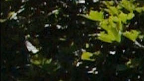 391268 07: A Honeywell sign is displayed June 28, 2001 outside their offices in Murray Hill, NJ. (Photo by Spencer Platt/Getty Images)