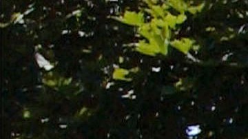 391268 07: A Honeywell sign is displayed June 28, 2001 outside their offices in Murray Hill, NJ. (Photo by Spencer Platt/Getty Images)