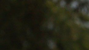 FORT LAUDERDALE, FLORIDA - MAY 19: Laura Hill joins with McDonald's workers and labor activists to protest against the restaurant chain on May 19, 2021 in Fort Lauderdale, Florida. McDonald's workers in 15 cities across the country held the protests on the day before the company's annual shareholder meeting to demand McDonald's pay at least $15/hr. (Photo by Joe Raedle/Getty Images)