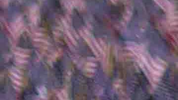 Ofertas Memorial Day