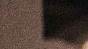 Trabajador, permiso de trabajo