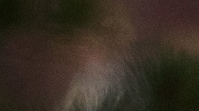 SUN VALLEY, ID - JULY 13: Jeff Bezos, chief executive officer of Amazon, arrives for the third day of the annual Allen & Company Sun Valley Conference, July 13, 2017 in Sun Valley, Idaho. Every July, some of the world's most wealthy and powerful businesspeople from the media, finance, technology and political spheres converge at the Sun Valley Resort for the exclusive weeklong conference. (Photo by Drew Angerer/Getty Images)