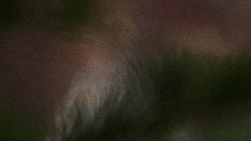 SUN VALLEY, ID - JULY 13: Jeff Bezos, chief executive officer of Amazon, arrives for the third day of the annual Allen & Company Sun Valley Conference, July 13, 2017 in Sun Valley, Idaho. Every July, some of the world's most wealthy and powerful businesspeople from the media, finance, technology and political spheres converge at the Sun Valley Resort for the exclusive weeklong conference. (Photo by Drew Angerer/Getty Images)