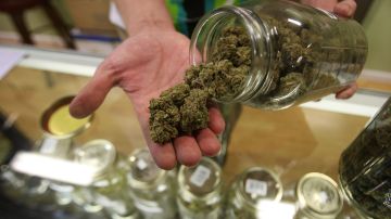 La legalización del cannabis en al menos 20 estados ha revolucionado a la industria verde